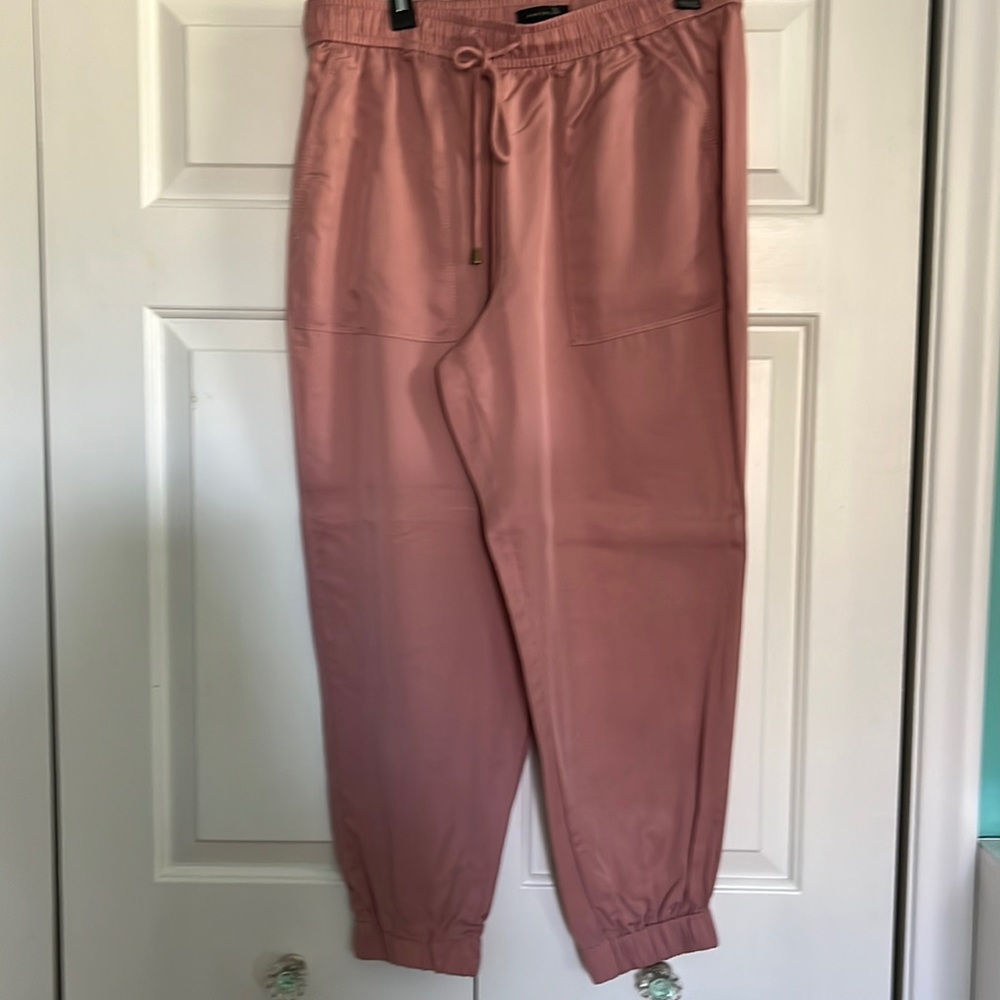 Ann Taylor, large joggers.